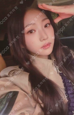 The Chase WEVERSE photocard