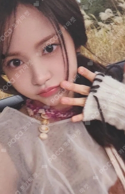 The Chase Minibook Ver. photocard