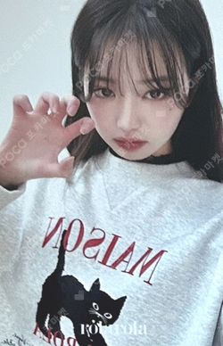 rolarola photocard