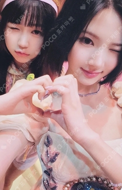 The Chase photocard