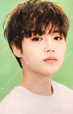 Pocamarket, TREASURE DOYOUNG TREASURE X Wonderwall Edition K-pop