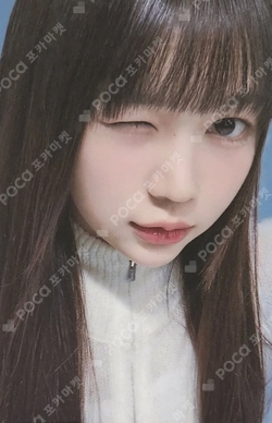 The Chase STUDIO CHOOM GIFT photocard