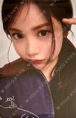 The Chase TOWER RECORDS photocard