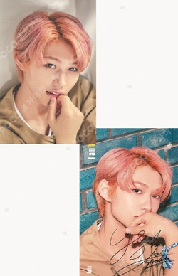 Pocamarket, Stray Kids FELIX (5-STAR) Everline K-pop Photocard
