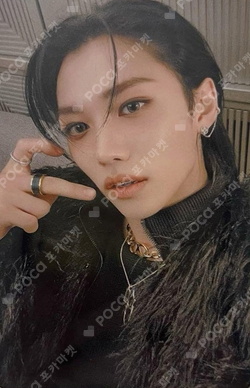 Pocamarket, Stray Kids FELIX Christmas EveL INTERPARK K-pop Photocard