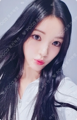 The Chase DEAR MY MUSE LUCKY DRAW photocard