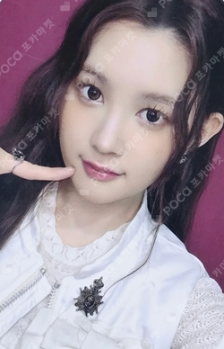 The Chase SOUND WAVE photocard