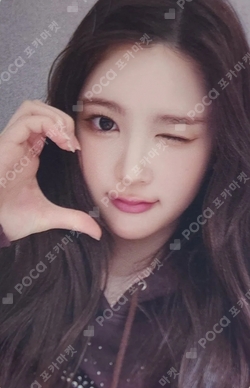 The Chase DEAR MY MUSE photocard