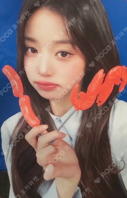 2025 IVE THE 3RD FAN CONCERT [IVE SCOUT] 3RD DIVE FANCLUB BOOTH photocard