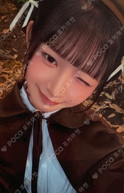 2025 IVE THE 3RD FAN CONCERT [IVE SCOUT] RANDOM POHTOCARD PACK photocard