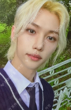 Pocamarket, Stray Kids FELIX MAXIDENT Yizhiyu K-pop Photocard