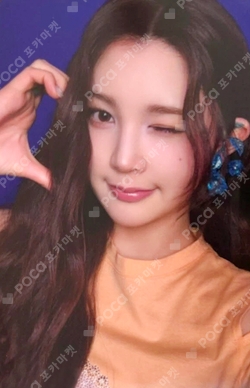 The Chase RANDOM TRADING CARD SET photocard