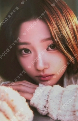 The Chase RANDOM TRADING CARD SET photocard