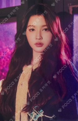 The Chase RANDOM TRADING CARD SET photocard