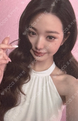 dyson photocard