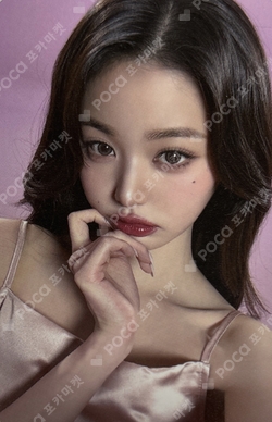 dyson photocard