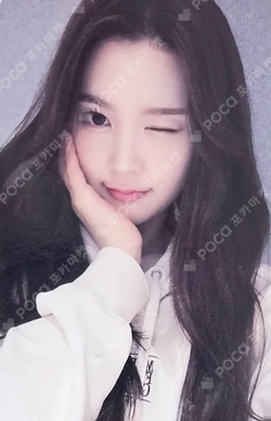 The Chase MOKKET SHOP photocard