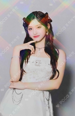 IVE THE 1ST WORLD TOUR SHOW WHAT I HAVE IN JAPAN ACRYLIC PHOTOCARD STAND photocard
