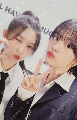 IVE THE 1ST WORLD TOUR SHOW WHAT I HAVE RANDOM PHOTOCARD PACK photocard