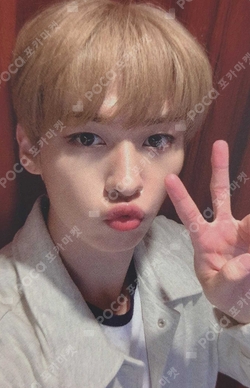 Pocamarket, Stray Kids LEE KNOW NOEASY SubK K-pop Photocard