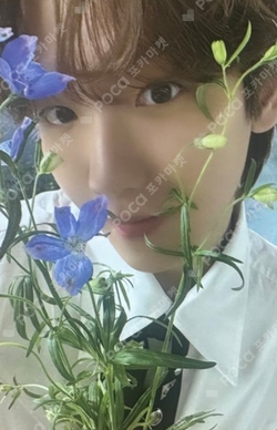 Pocamarket, EXO BAEKHYUN EX'ACT Monster Ver. SMTOWN MUSEUM K-pop