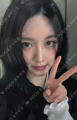 DIVE JAPAN FC photocard