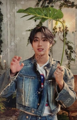 Pocamarket, Stray Kids HAN NOEASY SubK K-pop Photocard