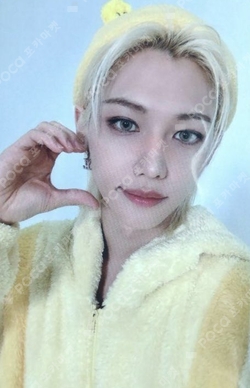 Pocamarket, Stray Kids FELIX Christmas Evel Subk K-pop Photocard