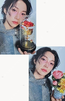 Pocamarket, Stray Kids FELIX ODDINARY MUSICPLANT K-pop Photocard