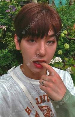 DRIPPIN Weekend ヒョプ サイン入りポラロイド Pocamarket, DRIPPIN KIMDONGYUN Weekend Whoop Japan Store K-pop