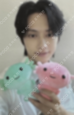 Pocamarket, Seventeen JUN SPILL THE FEELS KPOP MERCH/SHOPEE LUCKY
