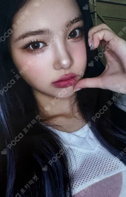 Hearts2Hearts X Teenieping PHOTO CARD HOLDER SET photocard