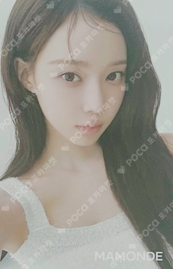MAMONDE photocard