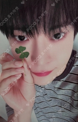 Pocamarket, NCT DOYOUNG Fact Check Exhibit Ver. Walmart Exclusive