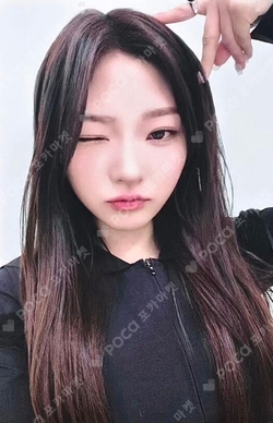 The Chase KMS photocard