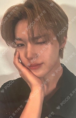 Pocamarket, TREASURE DOYOUNG TREASURE X Wonderwall Edition K-pop