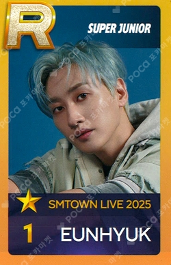 タレントカード Offical card EunHyuk Super show 10 seoul タレントカード Offical card EunHyuk Super show 10 seoul