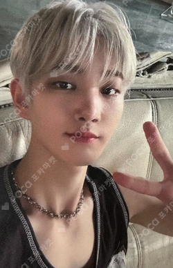 DRIPPIN Photocards | Pocamarket