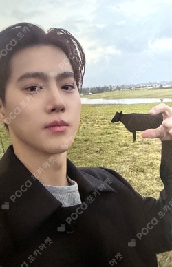 Pocamarket, EXO SUHO 1 to 3 ! Ver. K-pop Photocard