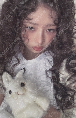 KNIGHT photocard