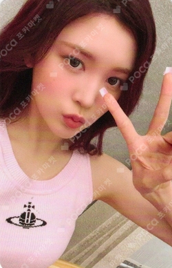 FOCUS APPLEMUSIC photocard
