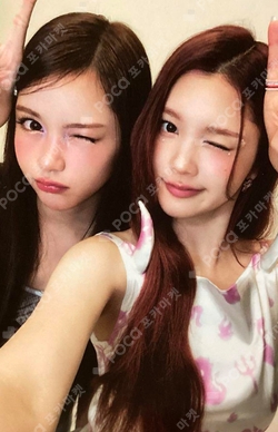 FOCUS Rule Book Ver. photocard