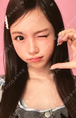 FOCUS Rule Book Ver. photocard