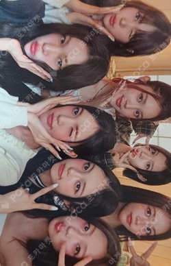 FOCUS photocard