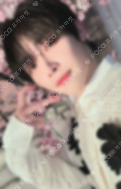 &team ニコラス　Back to Life studio choom トレカ Pocamarket, &TEAM NICHOLAS Back to Life ROAR ver. STUDIO CHOOM