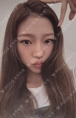 FOCUS WEVERSE photocard