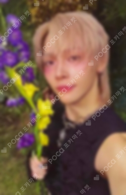 Pocamarket, &TEAM NICHOLAS Back to Life Photocard Box Weverse