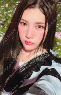 FOCUS SM STORE photocard