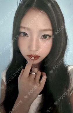 FOCUS EVERLINE photocard