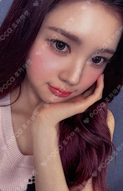 FOCUS INTERASIA LUCKY DRAW photocard